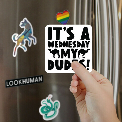 It's A Wednesday My Dudes Magnet
