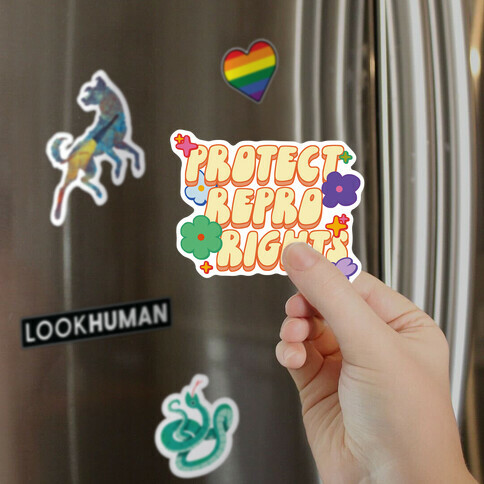 Protect Repro Rights Magnet