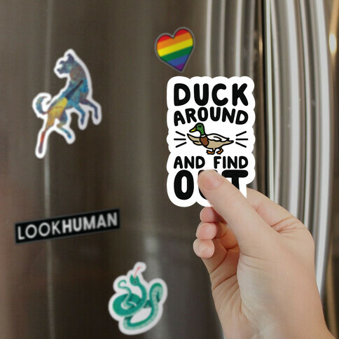 Duck Around And Find Out Magnet