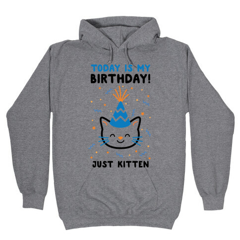 Today's My Birthday, Just Kitten Hooded Sweatshirt