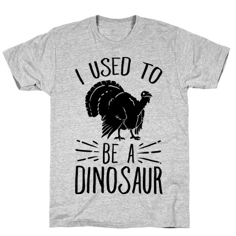I Used to Be a Dinosaur T-Shirt