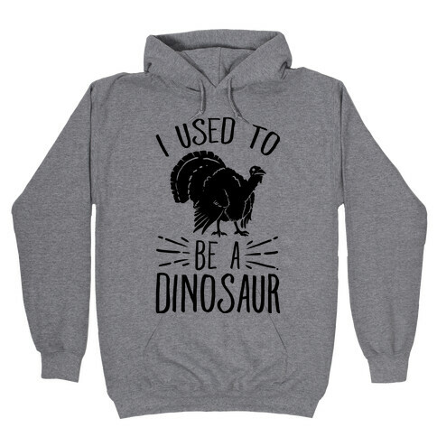 I Used to Be a Dinosaur Hooded Sweatshirt