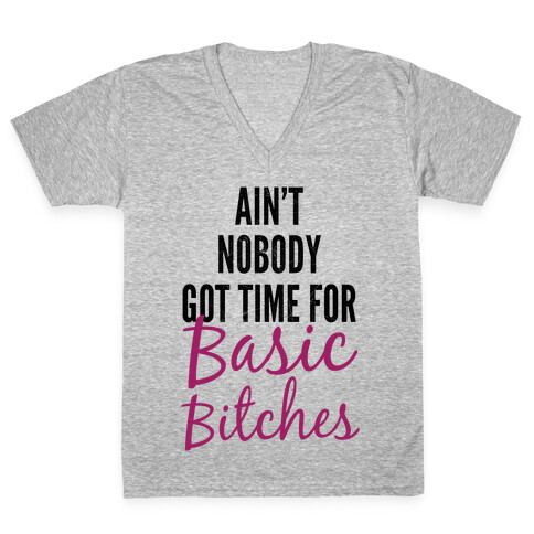 Basic Bitches V-Neck Tee Shirt