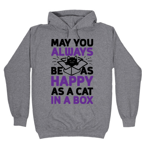 May You Always Be As Happy As A Cat In A Box Hooded Sweatshirt