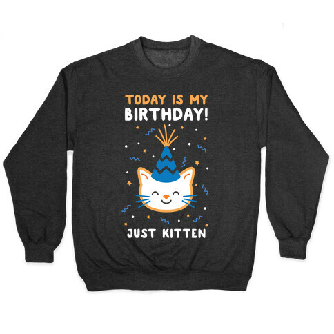 Today's My Birthday, Just Kitten Pullover