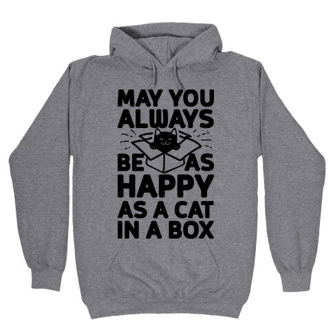 May You Always Be As Happy As A Cat In A Box Hooded Sweatshirt