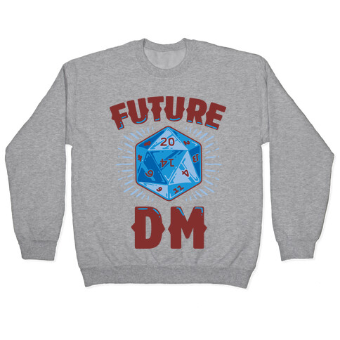 Future DM Pullover