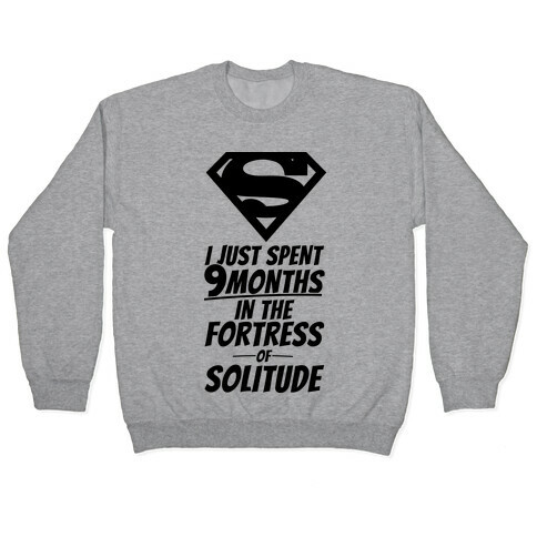 I Just Spent 9 Months In The Fortress Of Solitude Pullover