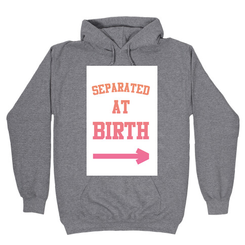 Separated at Birth Hooded Sweatshirt