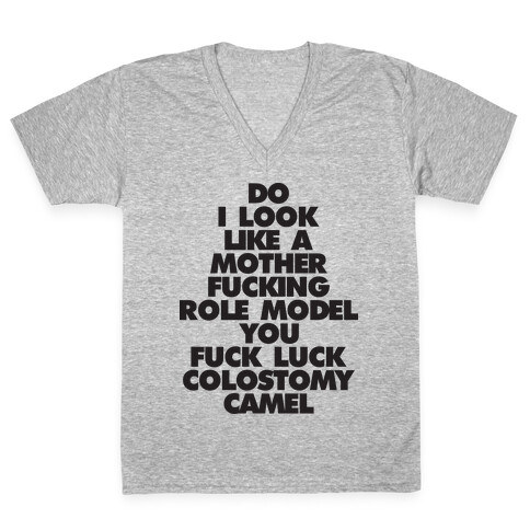 Do I Look Like A Role Model? V-Neck Tee Shirt