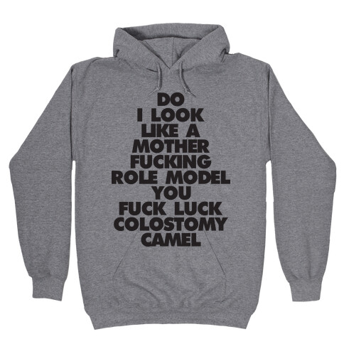 Do I Look Like A Role Model? Hooded Sweatshirt