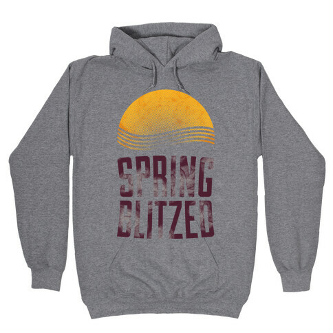 Spring Blitzed Hooded Sweatshirt