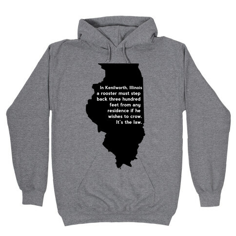 Dumb Laws Hooded Sweatshirt