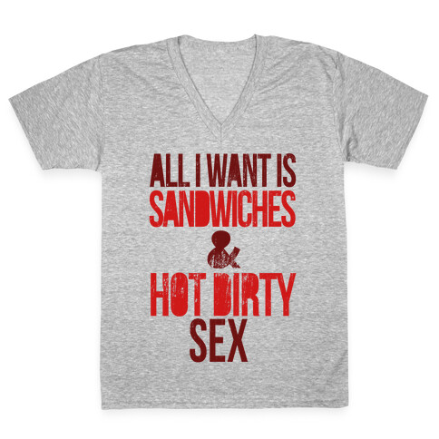 All I Want Is Sandwiches & Hot Dirty Sex V-Neck Tee Shirt