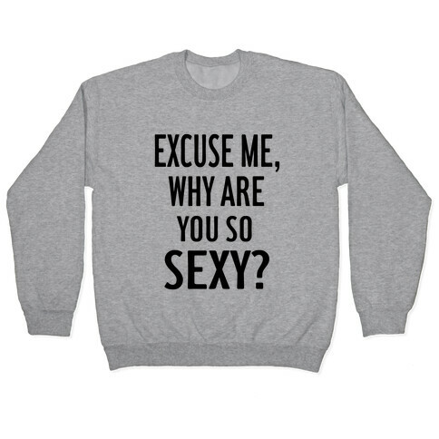 Excuse Me, Why are You So Sexy? Pullover