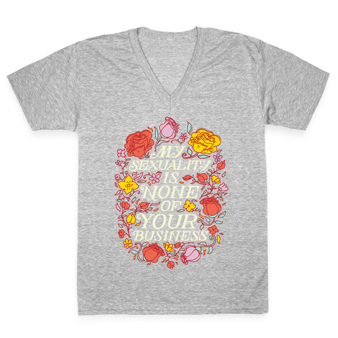 My Sexuality is None of Your Business  V-Neck Tee Shirt