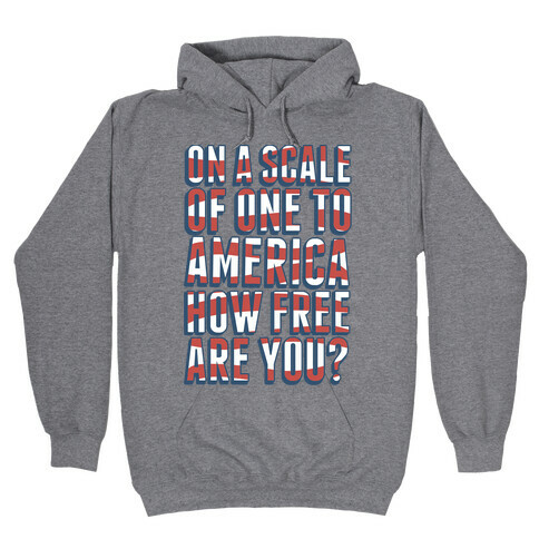 On a Scale of One to America Hooded Sweatshirt
