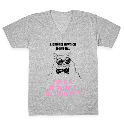 Elements In Which To Live By... (Chemistry Cat) V-Neck Tee Shirt