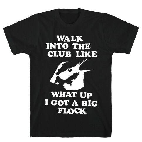 I Got A Big Flock T-Shirt