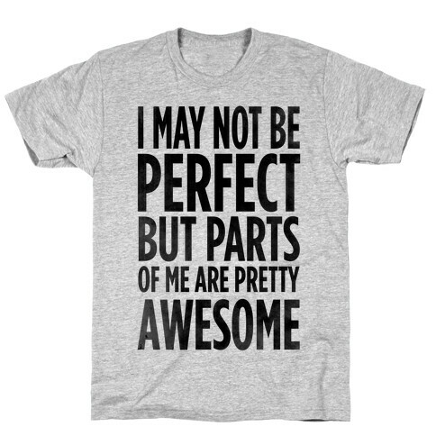 I May Not be Perfect... T-Shirt