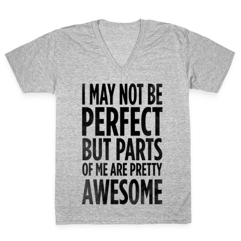 I May Not be Perfect... V-Neck Tee Shirt