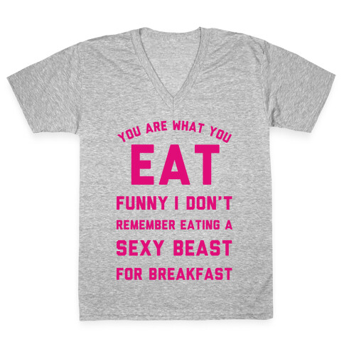 I Don't Remember Eating a Sexy Beast for Breakfast V-Neck Tee Shirt