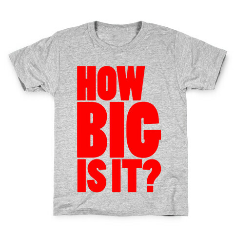 How Big Is It? Kids T-Shirt