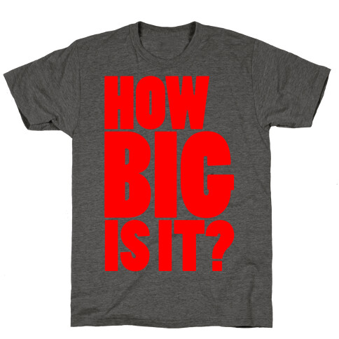 How Big Is It? T-Shirt