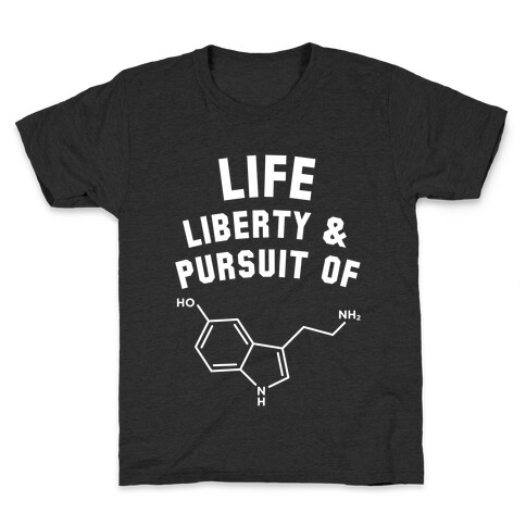 Life, Liberty, & Pursuit of Happiness Kids T-Shirt