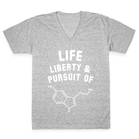 Life, Liberty, & Pursuit of Happiness V-Neck Tee Shirt