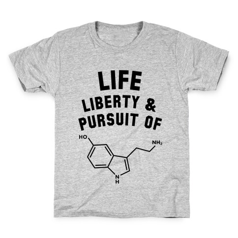 Life, Liberty, & Pursuit of Happiness Kids T-Shirt