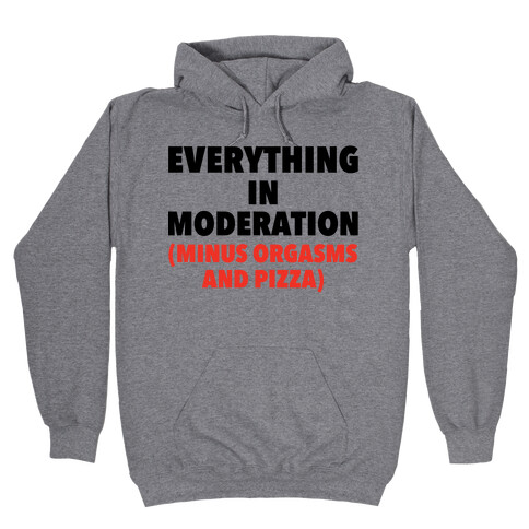 Everything in Moderation Minus Orgasms and Pizza Hooded Sweatshirt