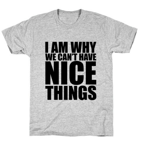 I Am Why We Can't Have Nice Things T-Shirt