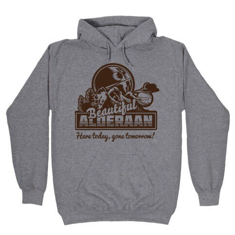 Beautiful Alderaan Vacation Hooded Sweatshirt