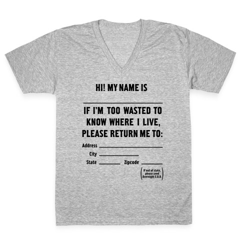 Too Wasted V-Neck Tee Shirt