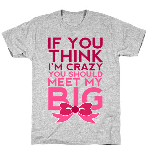 You Should Meet My Big T-Shirt