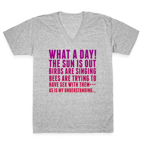 What a Day V-Neck Tee Shirt