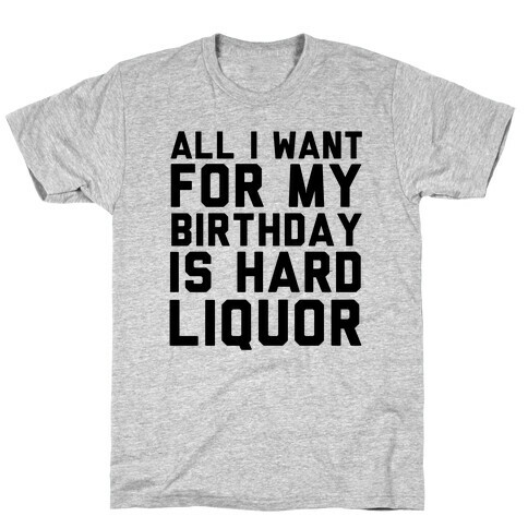 All I Want for My Birthday T-Shirt