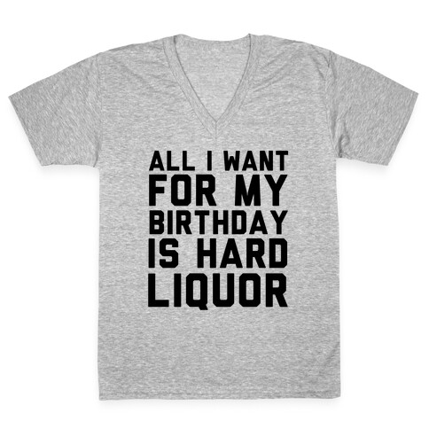 All I Want for My Birthday V-Neck Tee Shirt