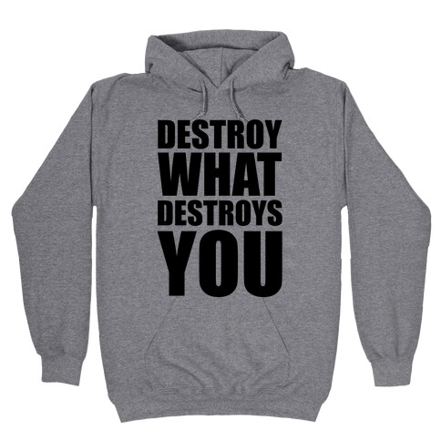 Destroy What Destroys You Hooded Sweatshirt