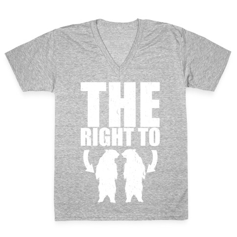 The Right to Bear Arms V-Neck Tee Shirt