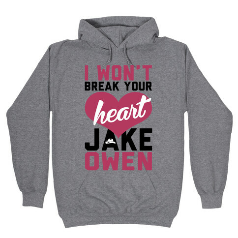 Don't Break His Heart Hooded Sweatshirt