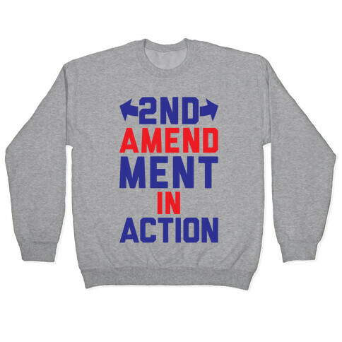 2nd Amendment In Action Pullover