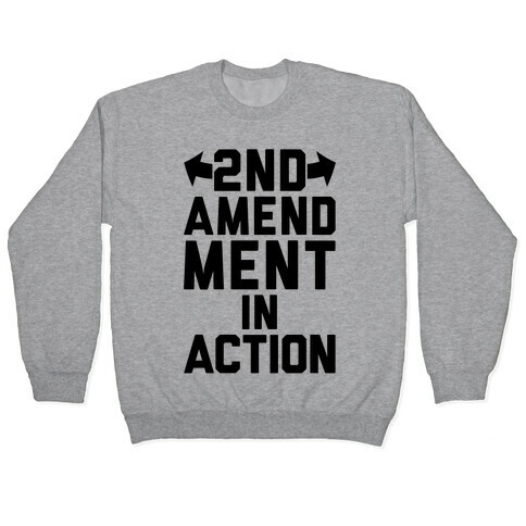 2nd Amendment In Action Pullover