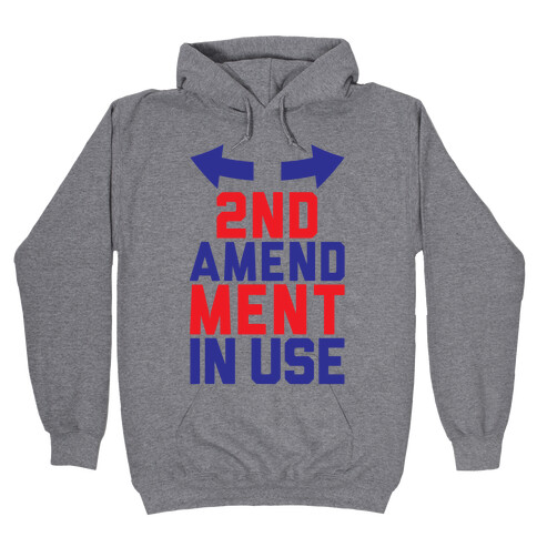 2nd Amendment In Use Hooded Sweatshirt