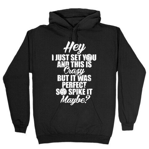 Hey I Just Set You And This Is Crazy Hooded Sweatshirt