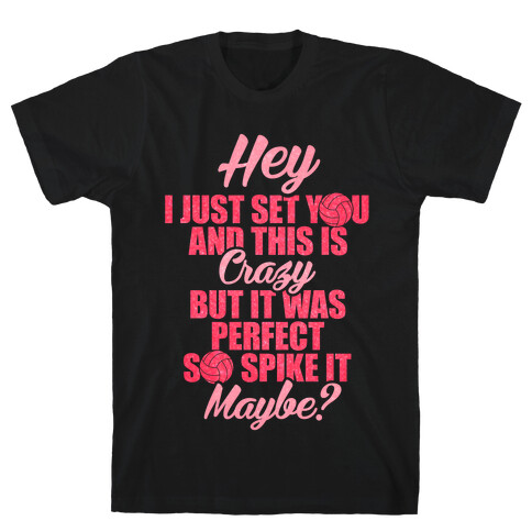 Hey I Just Set You T-Shirt