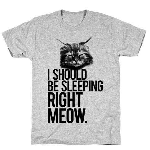 I Should Be Sleeping RIght Meow T-Shirt