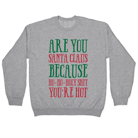 Are You Santa Claus? Because Ho-Ho-Holy Shit You're Hot Pullover