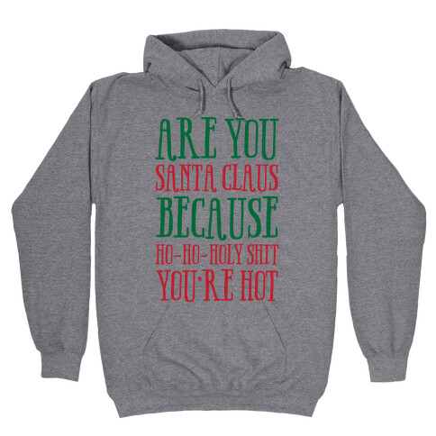 Are You Santa Claus? Because Ho-Ho-Holy Shit You're Hot Hooded Sweatshirt